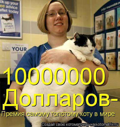 Котоматрица: Премия самому толстому коту в мире 10000000 Долларов-