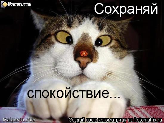 Котоматрица: Сохраняй спокойствие...