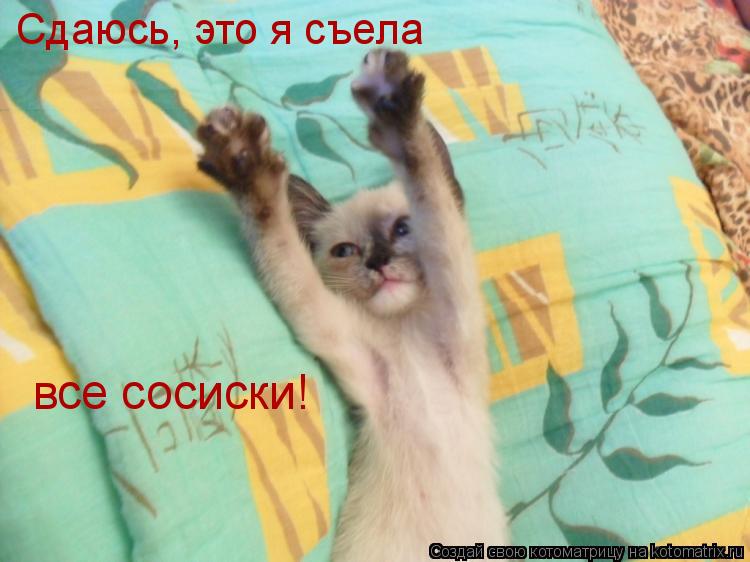 Котоматрица: Сдаюсь, это я съела  все сосиски!