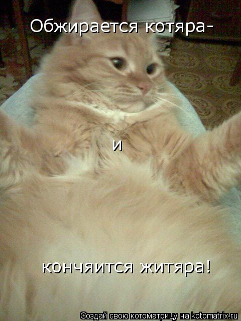 Котоматрица: Обжирается котяра- и кончяится житяра!