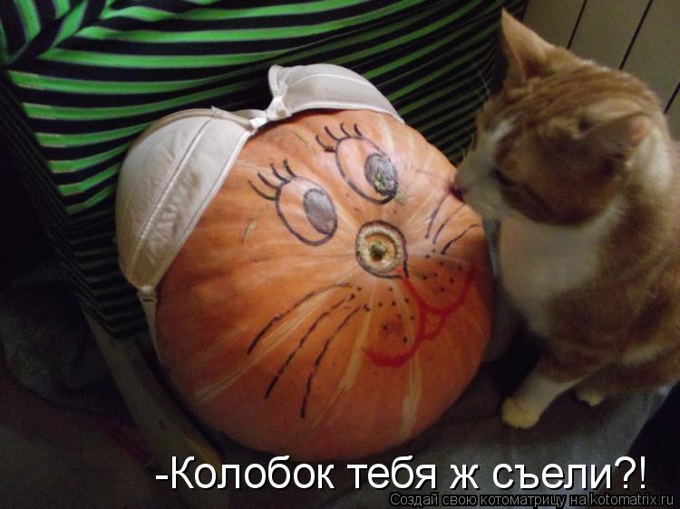 Котоматрица: -Колобок тебя ж съели?!