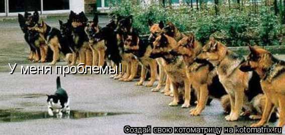 Котоматрица: У меня проблемы!