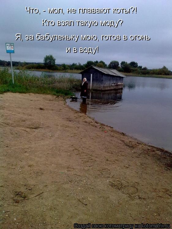 Котоматрица: Что, - мол, не плавают коты?! Кто взял такую моду? Я, за бабуленьку мою, готов в огонь  и в воду!
