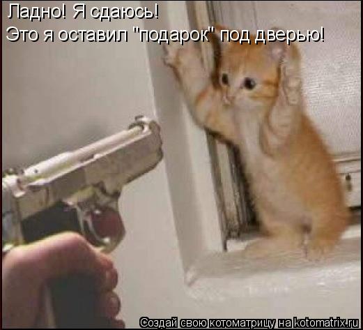 Котоматрица: Ладно! Я сдаюсь! Это я оставил "подарок" под дверью!