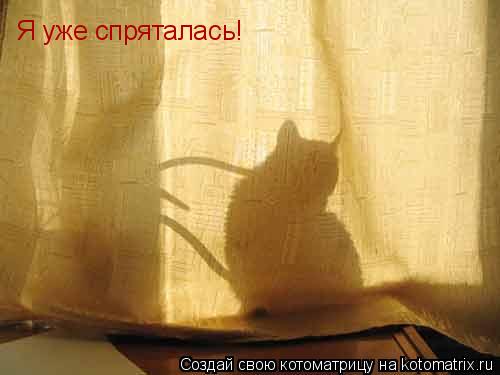 Котоматрица: Я уже спряталась!