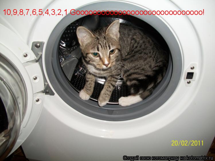 Котоматрица: 10,9,8,7,6,5,4,3,2,1 Goooooooooooooooooooooooooooooo!