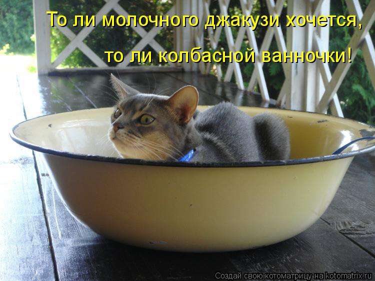 Котоматрица: То ли молочного джакузи хочется, то ли колбасной ванночки!
