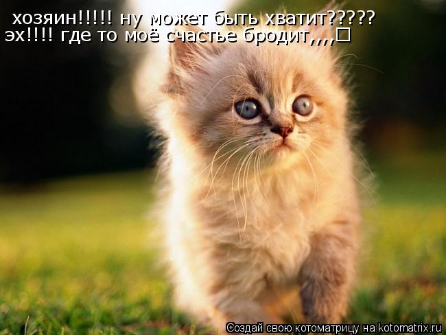 Котоматрица: хозяин!!!!! ну может быть хватит????? эх!!!! где то моё счастье бродит,,,,♥