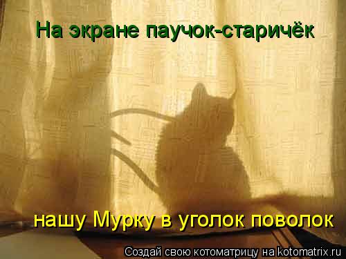 Котоматрица: На экране паучок-старичёк нашу Мурку в уголок поволок