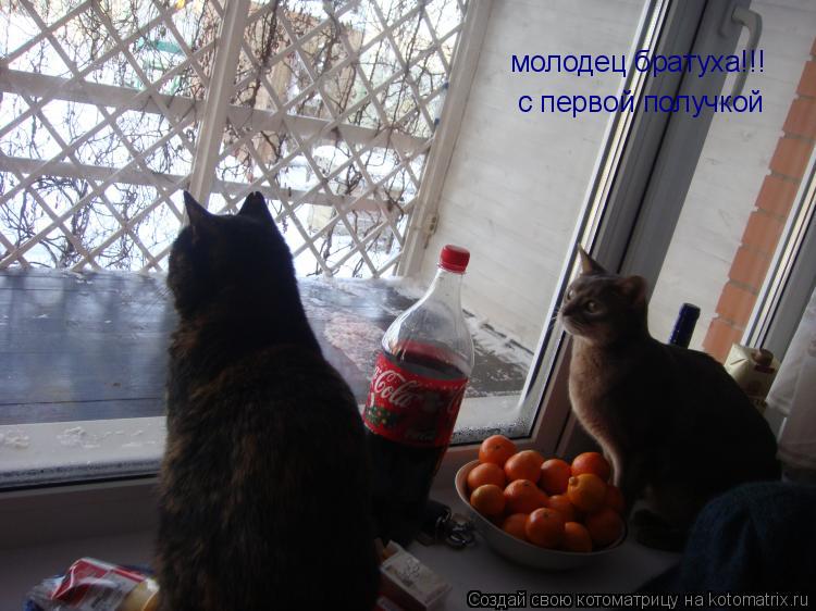 Котоматрица: молодец братуха!!! с первой получкой