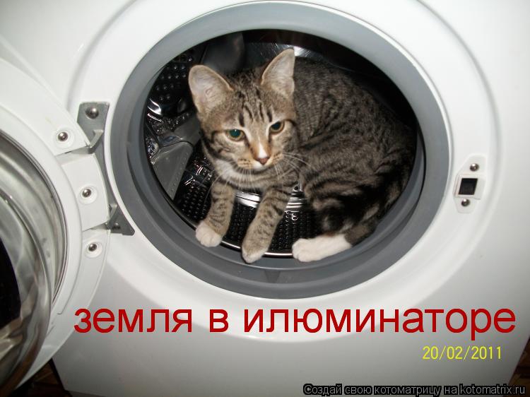 Котоматрица: земля в илюминаторе земля в илюминаторе