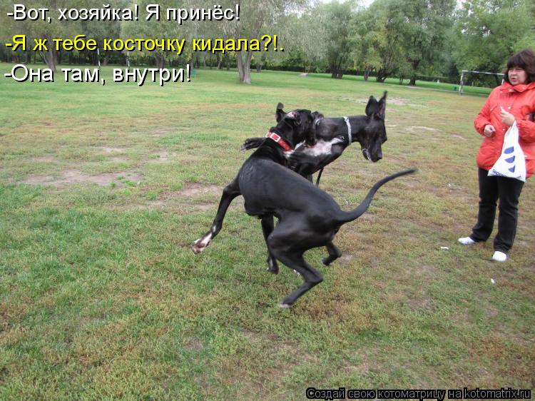 Котоматрица: -Вот, хозяйка! Я принёс! -Я ж тебе косточку кидала?!. -Она там, внутри!