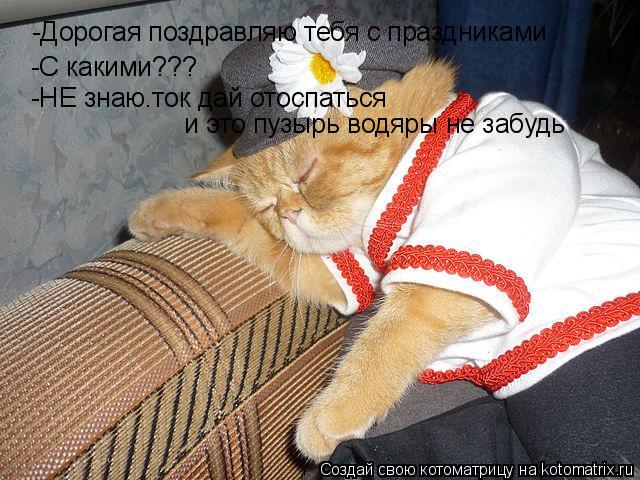 Котоматрица: -Дорогая поздравляю тебя с праздниками -С какими??? -НЕ знаю.ток дай отоспаться   и это пузырь водяры не забудь