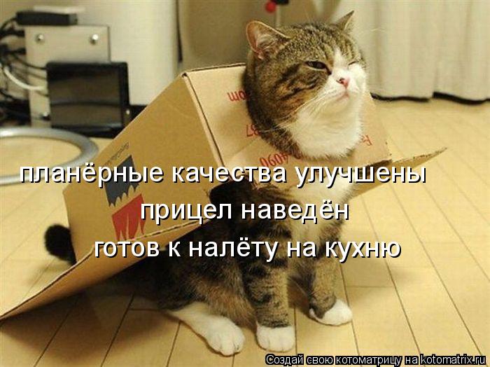Котоматрица: планёрные качества улучшены прицел наведён готов к налёту на кухню