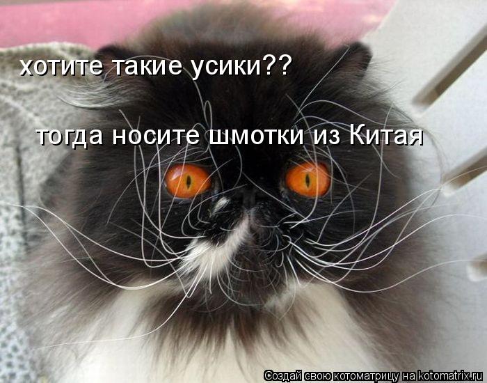 Котоматрица: хотите такие усики?? тогда носите шмотки из Китая