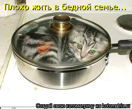 Котоматрица: Плохо жить в бедной семье...