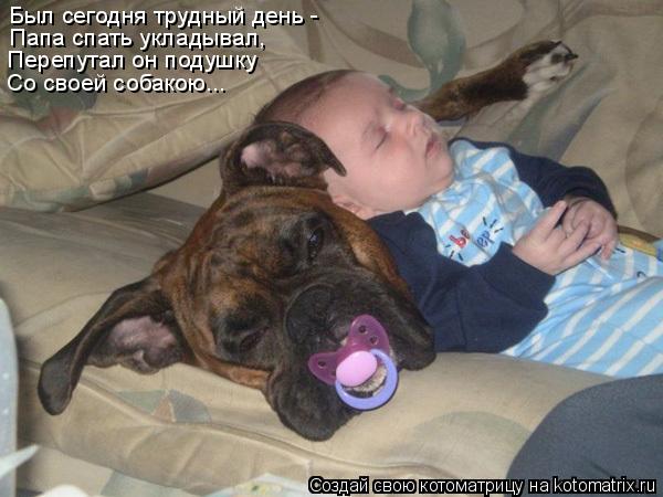 Был сегодня трудный день - Папа спать укладывал, Перепутал он подушку Со своей собакою...... Котоматрица: Был сегодня трудный день - Папа спать укладывал, Перепутал он подушку Со своей собакою...