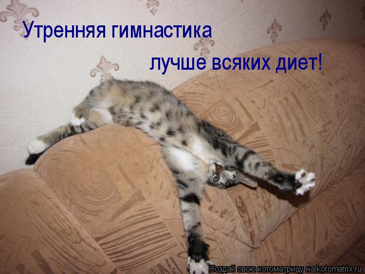 Котоматрица: Утренняя гимнастика лучше всяких диет!