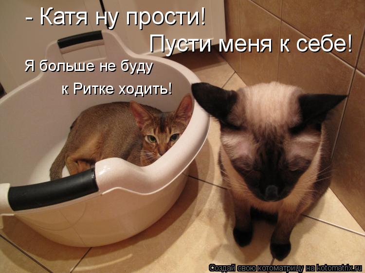 Котоматрица: - Катя ну прости! Пусти меня к себе! Я больше не буду к Ритке ходить!