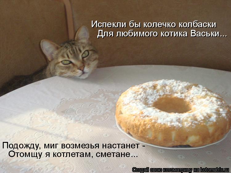 Испекли бы колечко колбаски Для любимого котика Васьки... Подожду, миг возмезья настанет - Отомщу я к... Котоматрица: Испекли бы колечко колбаски Для любимого котика Васьки... Подожду, миг возмезья настанет - Отомщу я котлетам, сметане...