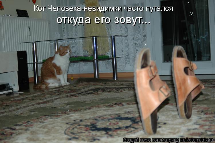 Котоматрица: Кот Человека-невидимки часто путался откуда его зовут...
