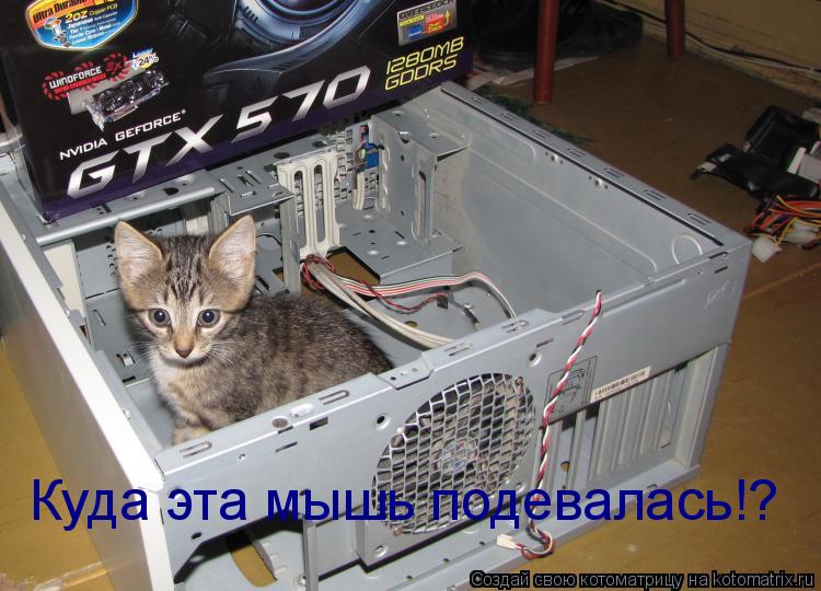 Котоматрица: Куда эта мышь подевалась!?