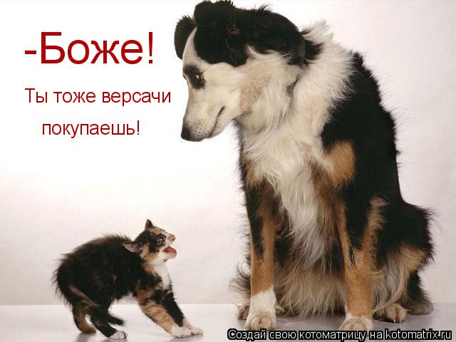 Котоматрица: -Боже! Ты тоже версачи покупаешь!