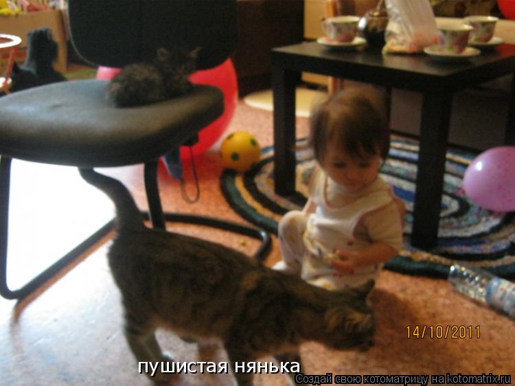 Котоматрица: пушистая нянька