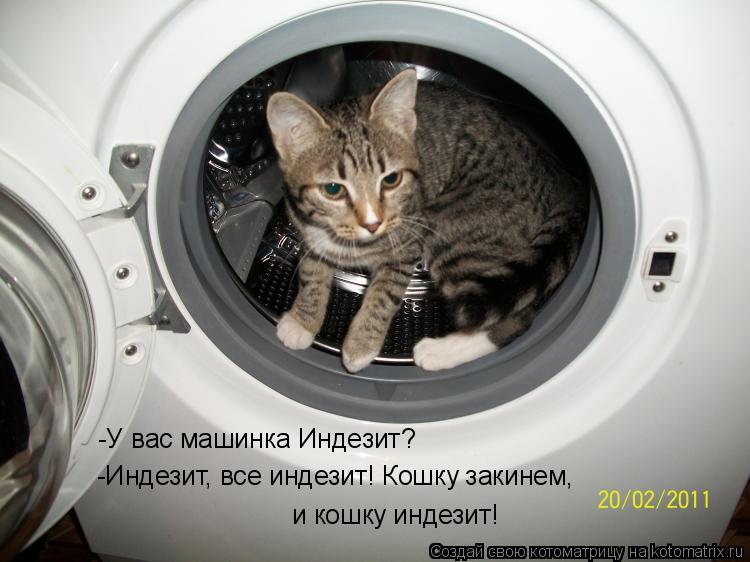 Котоматрица: -У вас машинка Индезит? -Индезит, все индезит! Кошку закинем, и кошку индезит!