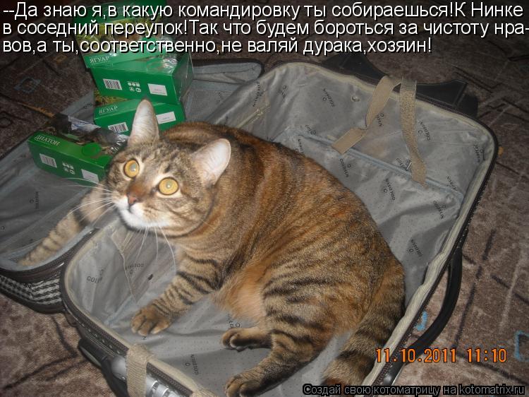 Котоматрица: --Да знаю я,в какую командировку ты собираешься!К Нинке в соседний переулок!Так что будем бороться за чистоту нра- вов,а ты,соответственно,не