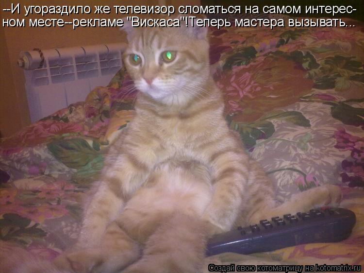Котоматрица: --И угораздило же телевизор сломаться на самом интерес- ном месте--рекламе "Вискаса"!Теперь мастера вызывать...