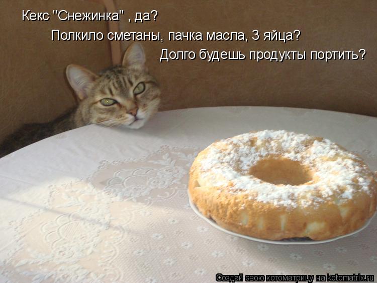 Котоматрица: Кекс "Снежинка" , да?  Полкило сметаны, пачка масла, 3 яйца?  Долго будешь продукты портить?
