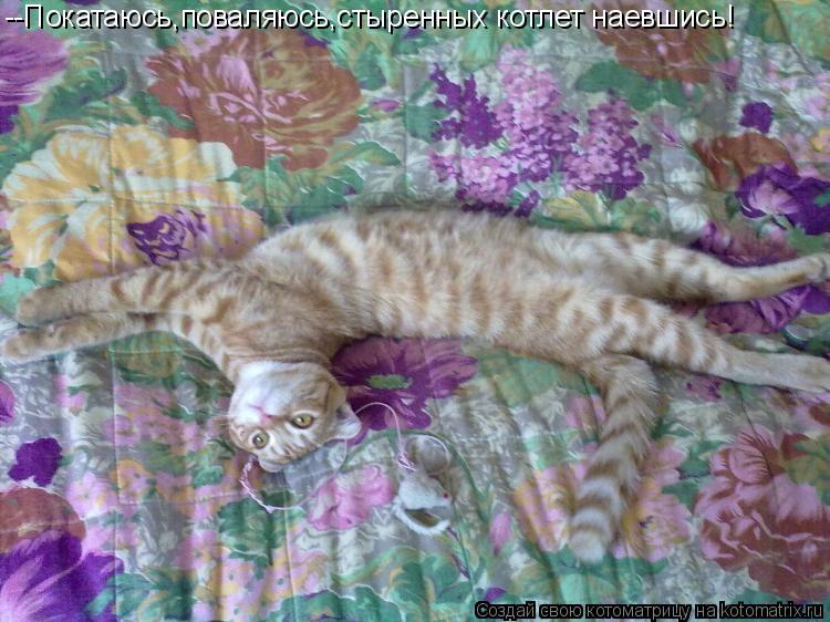Котоматрица: --Покатаюсь,поваляюсь,стыренных котлет наевшись!