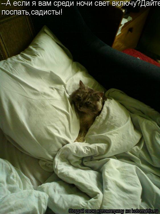 поспать,садисты! --А если я вам среди ночи свет включу?Дайте... Котоматрица: поспать,садисты! --А если я вам среди ночи свет включу?Дайте