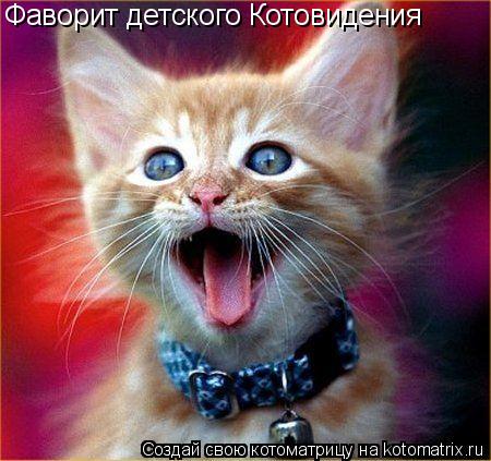 Фаворит детского Котовидения... Котоматрица: Фаворит детского Котовидения