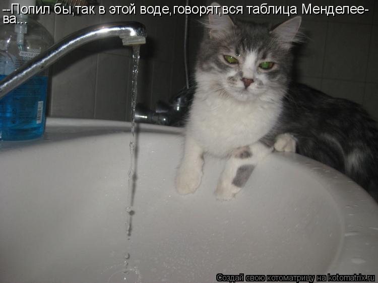 --Попил бы,так в этой воде,говорят,вся таблица Менделее- ва...... Котоматрица: --Попил бы,так в этой воде,говорят,вся таблица Менделее- ва...