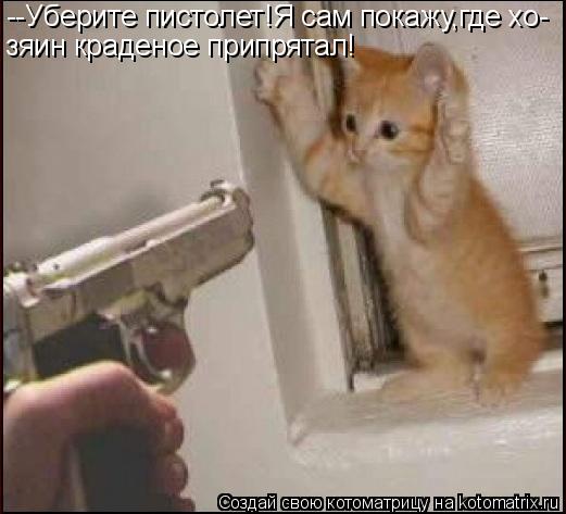 --Уберите пистолет!Я сам покажу,где хо- зяин краденое припрятал!... Котоматрица: --Уберите пистолет!Я сам покажу,где хо- зяин краденое припрятал!