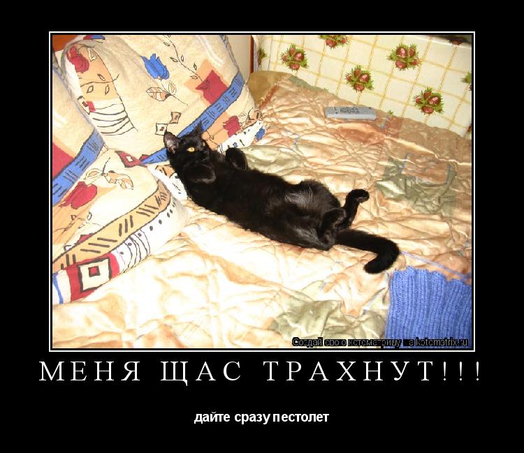 Котоматрица: МЕНЯ ЩАС ТРАХНУТ!!! дайте сразу пестолет