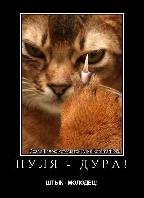 Котоматрица: ПУЛЯ - ДУРА! ШТЫК - МОЛОДЕЦ!