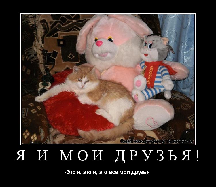 Котоматрица: Я и мои друзья! -Это я, это я, это все мои друзья 