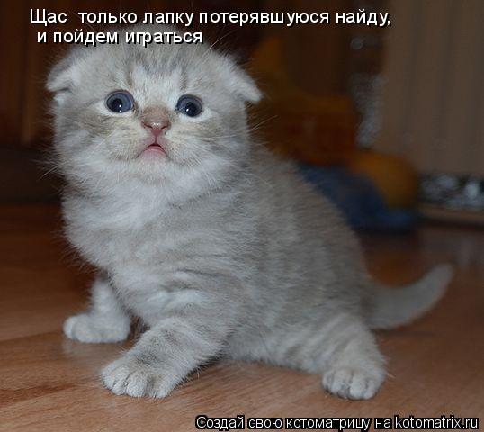 Котоматрица: Щас  только лапку потерявшуюся найду,  и пойдем играться
