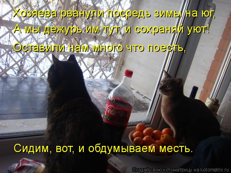 Котоматрица: Хозяева рванули посредь зимы на юг, А мы дежурь им тут, и сохраняй уют! Оставили нам много что поесть, Сидим, вот, и обдумываем месть.