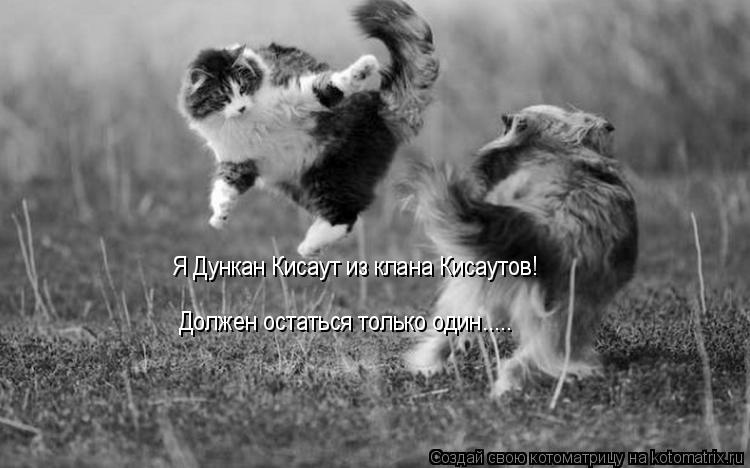 Котоматрица: Я Дункан Кисаут из клана Кисаутов! Должен остаться только один.....