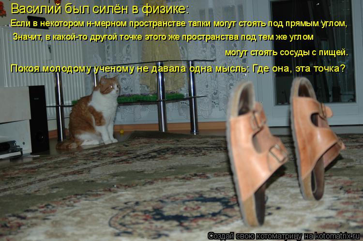 Василий был силён в физике: Если в некотором н-мерном пространстве тапки могут стоять под прямым угло... Котоматрица: Василий был силён в физике: Если в некотором н-мерном пространстве тапки могут стоять под прямым углом, Значит, в какой-то другой точке этог