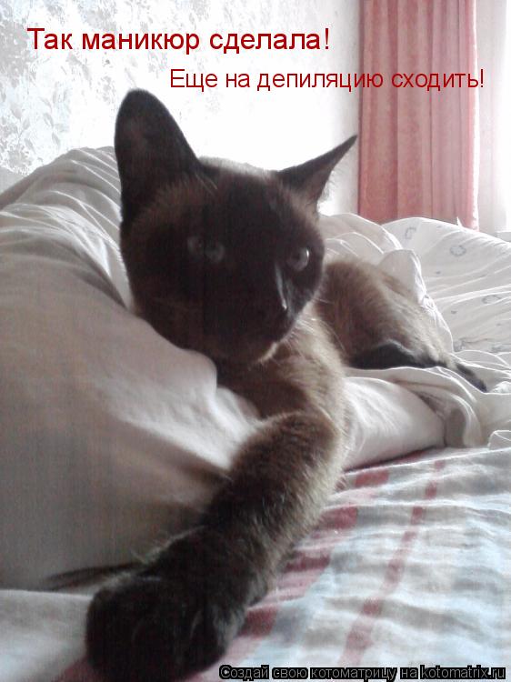 Так маникюр сделала! Так маникюр сделала! Еще на депиляцию сходить!... Котоматрица: Так маникюр сделала! Так маникюр сделала! Еще на депиляцию сходить!