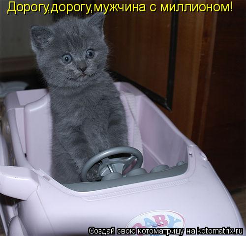 Дорогу,дорогу,мужчина с миллионом!... Котоматрица: Дорогу,дорогу,мужчина с миллионом!
