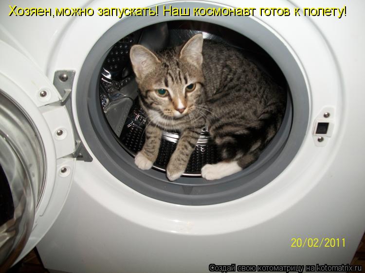 Котоматрица: Хозяен,можно запускать! Наш космонавт готов к полету!