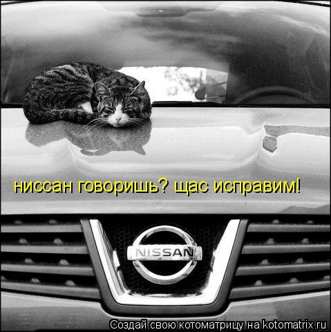 Котоматрица: ниссан говоришь? щас исправим!