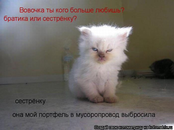 Котоматрица: Вовочка ты кого больше любишь? братика или сестрёнку? она мой портфель в мусоропровод выбросила сестрёнку