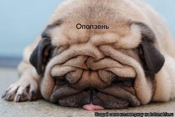 Котоматрица: Оползень